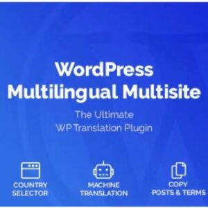Wordpress Multilingual Multisite